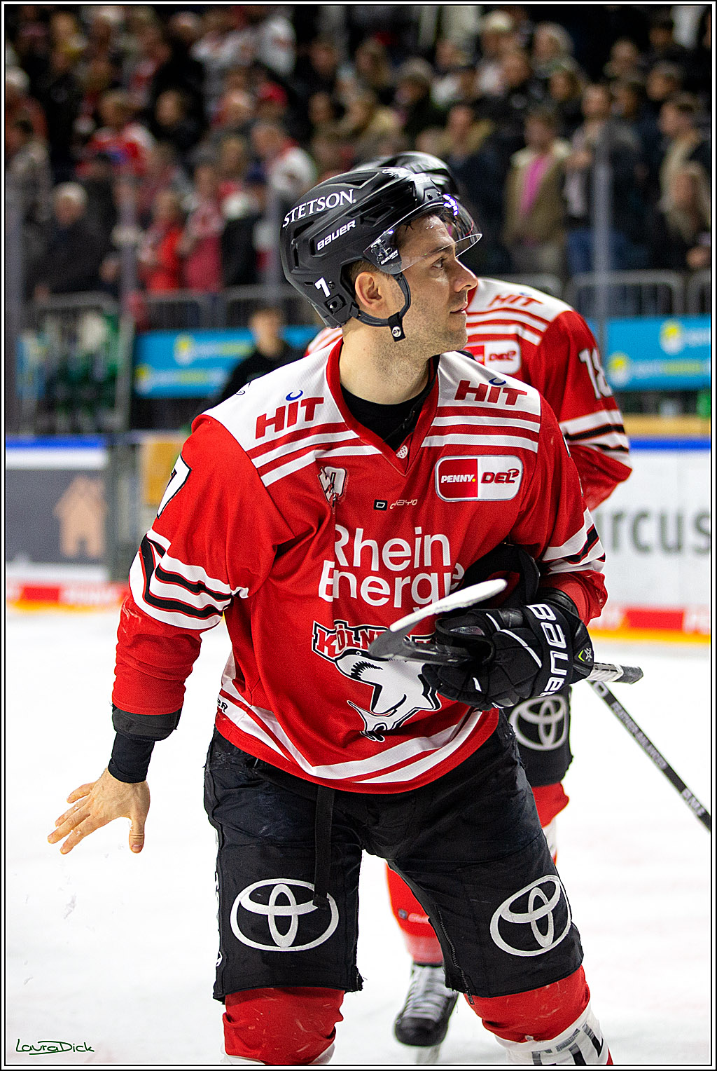 PENNY DEL; Koelner Haie- Bietigheim Steelers; Koeln, 22.01.2023